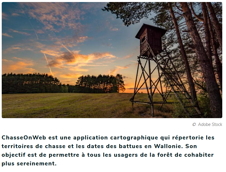 Chasseonweb