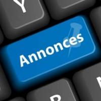 Petites annonces 1